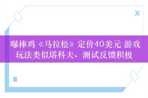  曝棒鸡《马拉松》定价40美元 游戏玩法类似塔科夫、测试反馈积极