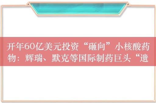 开年60亿美元投资“砸向”小核酸药物：辉瑞、默克等国际制药巨头“遗憾”退场，A股医药龙头君实生物、恒瑞医药提前布局，能否成国产创新药又一爆点？