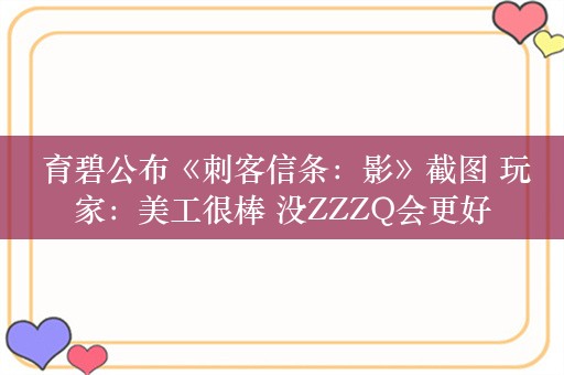  育碧公布《刺客信条：影》截图 玩家：美工很棒 没ZZZQ会更好