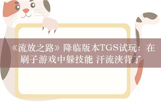  《流放之路》降临版本TGS试玩：在刷子游戏中躲技能 汗流浃背了