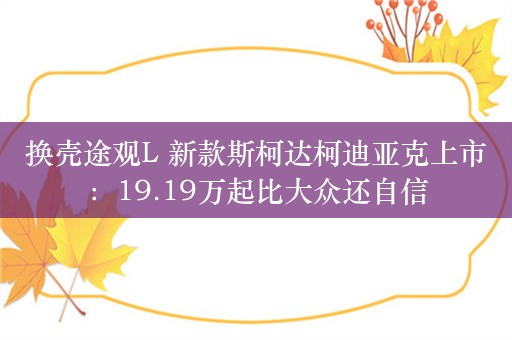 换壳途观L 新款斯柯达柯迪亚克上市：19.19万起比大众还自信