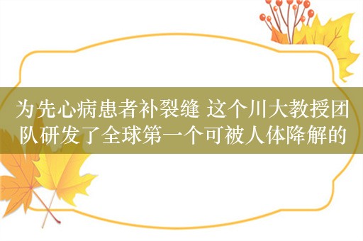 为先心病患者补裂缝 这个川大教授团队研发了全球第一个可被人体降解的封堵器