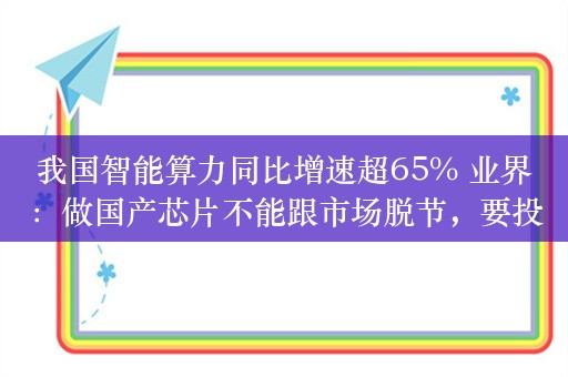 我国智能算力同比增速超65% 业界：做国产芯片不能跟市场脱节，要投入足够多的资金、时间