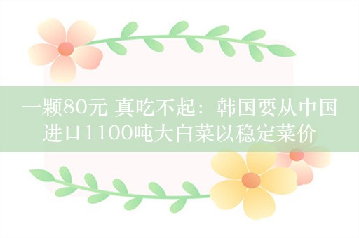 一颗80元 真吃不起：韩国要从中国进口1100吨大白菜以稳定菜价