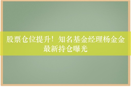 股票仓位提升！知名基金经理杨金金最新持仓曝光