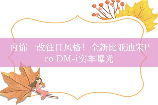 内饰一改往日风格！全新比亚迪宋Pro DM-i实车曝光