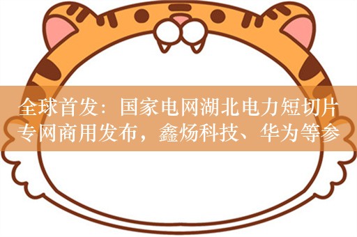 全球首发：国家电网湖北电力短切片专网商用发布，鑫炀科技、华为等参与