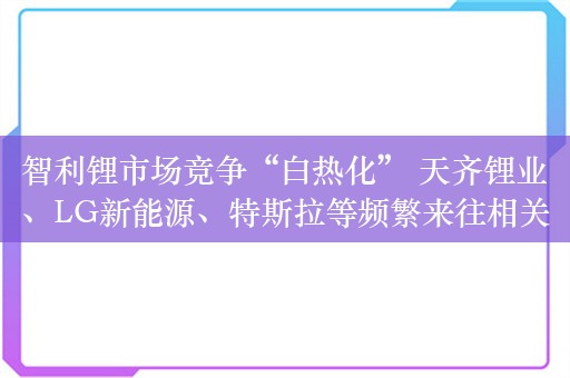 智利锂市场竞争“白热化” 天齐锂业、LG新能源、特斯拉等频繁来往相关政府部门