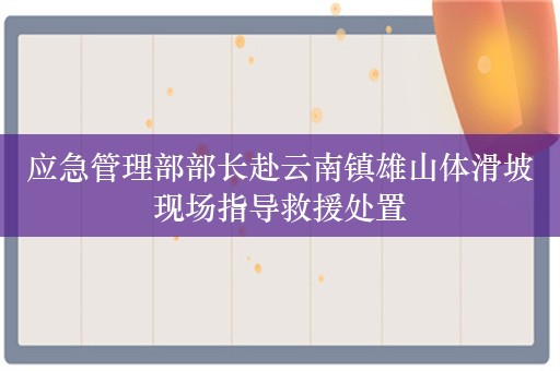 应急管理部部长赴云南镇雄山体滑坡现场指导救援处置