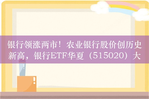 银行领涨两市！农业银行股价创历史新高，银行ETF华夏（515020）大涨近2%