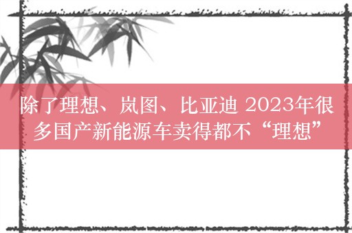 除了理想、岚图、比亚迪 2023年很多国产新能源车卖得都不“理想”