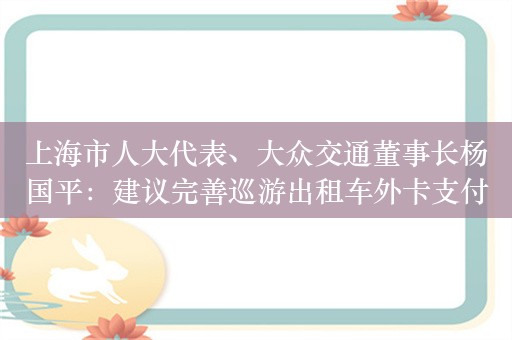 上海市人大代表、大众交通董事长杨国平：建议完善巡游出租车外卡支付 尽快修订出租车管理条例