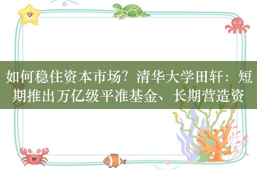 如何稳住资本市场？清华大学田轩：短期推出万亿级平准基金、长期营造资金“愿意来”的市场环境