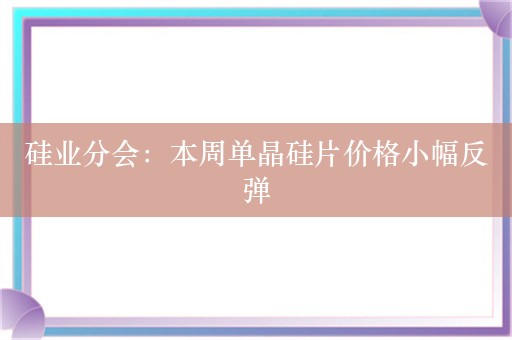 硅业分会：本周单晶硅片价格小幅反弹