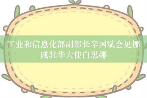 工业和信息化部副部长辛国斌会见挪威驻华大使白思娜