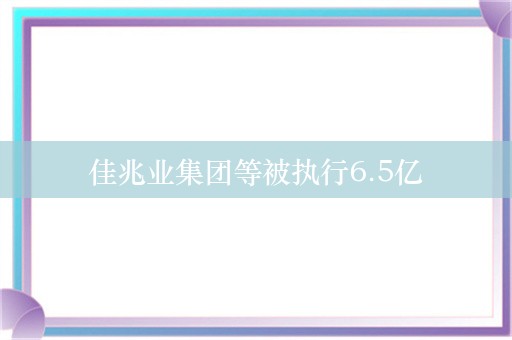 佳兆业集团等被执行6.5亿