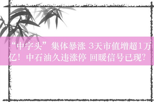 “中字头”集体暴涨 3天市值增超1万亿！中石油久违涨停 回暖信号已现？