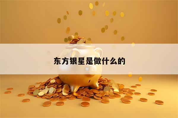 东方银星是做什么的