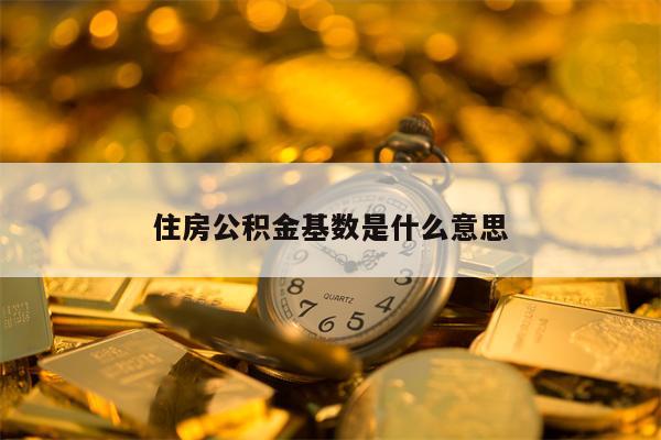 住房公积金基数是什么意思