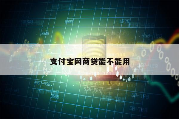 支付宝网商贷能不能用