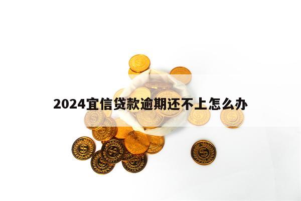 2024宜信贷款逾期还不上怎么办