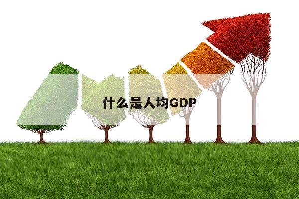 什么是人均GDP