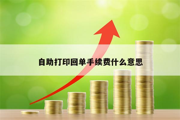 自助打印回单手续费什么意思