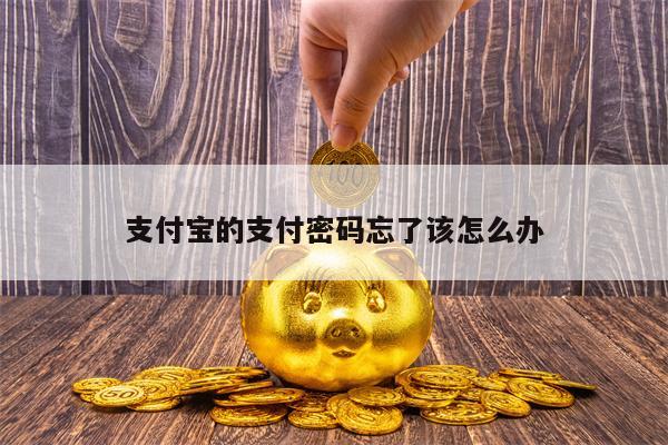 支付宝的支付密码忘了该怎么办