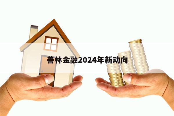 善林金融2024年新动向