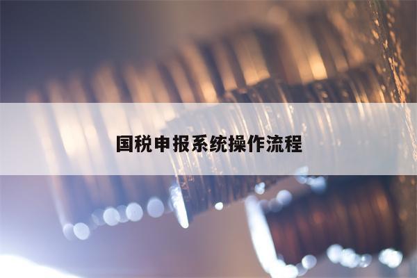 国税申报系统操作流程