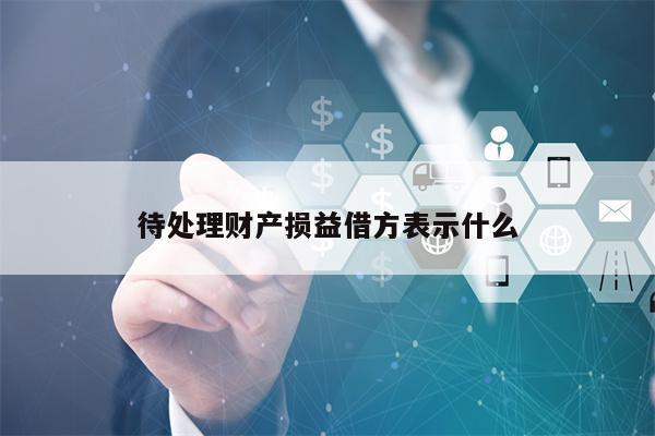 待处理财产损益借方表示什么