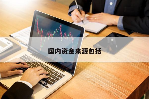 国内资金来源包括