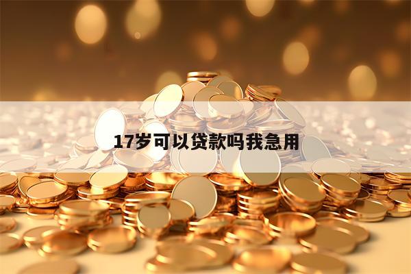 17岁可以贷款吗我急用