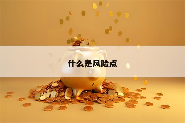 什么是风险点