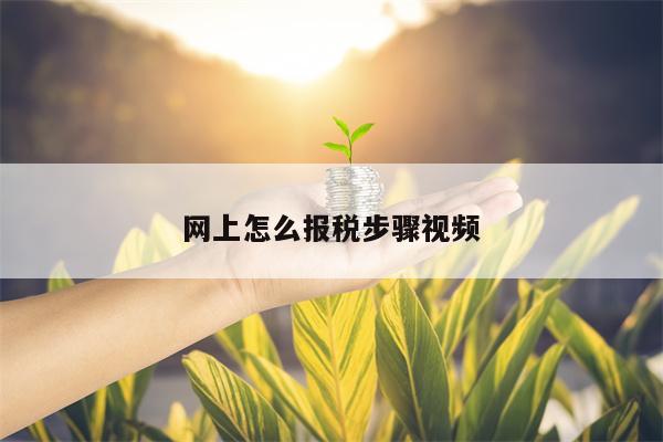 网上怎么报税步骤视频