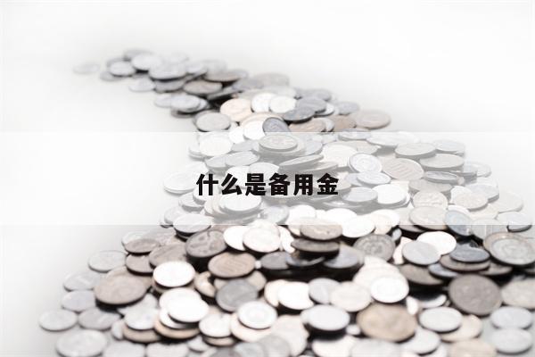 什么是备用金