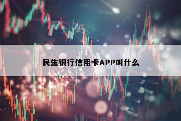 民生银行信用卡APP叫什么