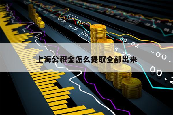 上海公积金怎么提取全部出来