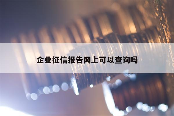 企业征信报告网上可以查询吗